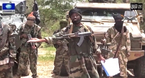 15 Killed In Nigerien Boko Haram Attack